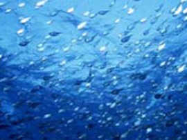 スキューバダイビング