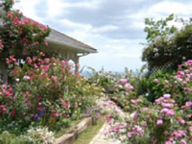 アカオハーブ＆ローズガーデン