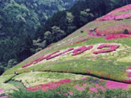 姫の沢公園（アスレチック）